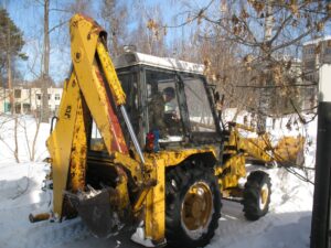 Жители Костромы отстояли от застройки Березовую рощу