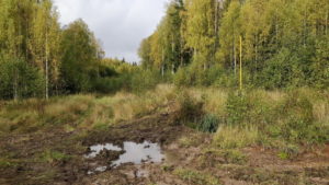 Газопровод из Галича в Парфеньево фото