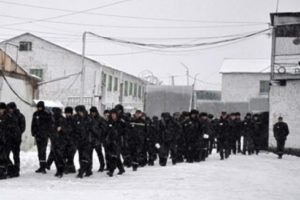 Колония Поназырево