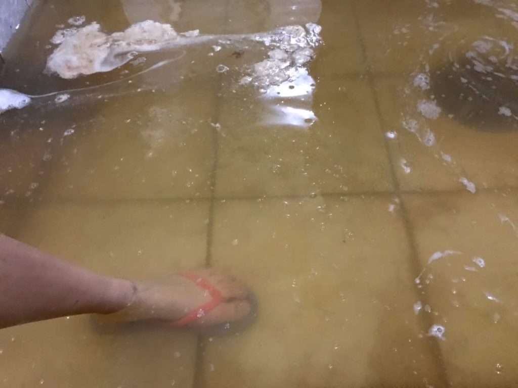 Студенты костромской сельхозакадемии жалуются на мышей, тараканов, клопов и затопленные душевые