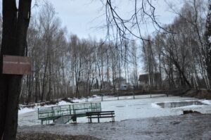 Санаторий Костромской пруд фото novosti44