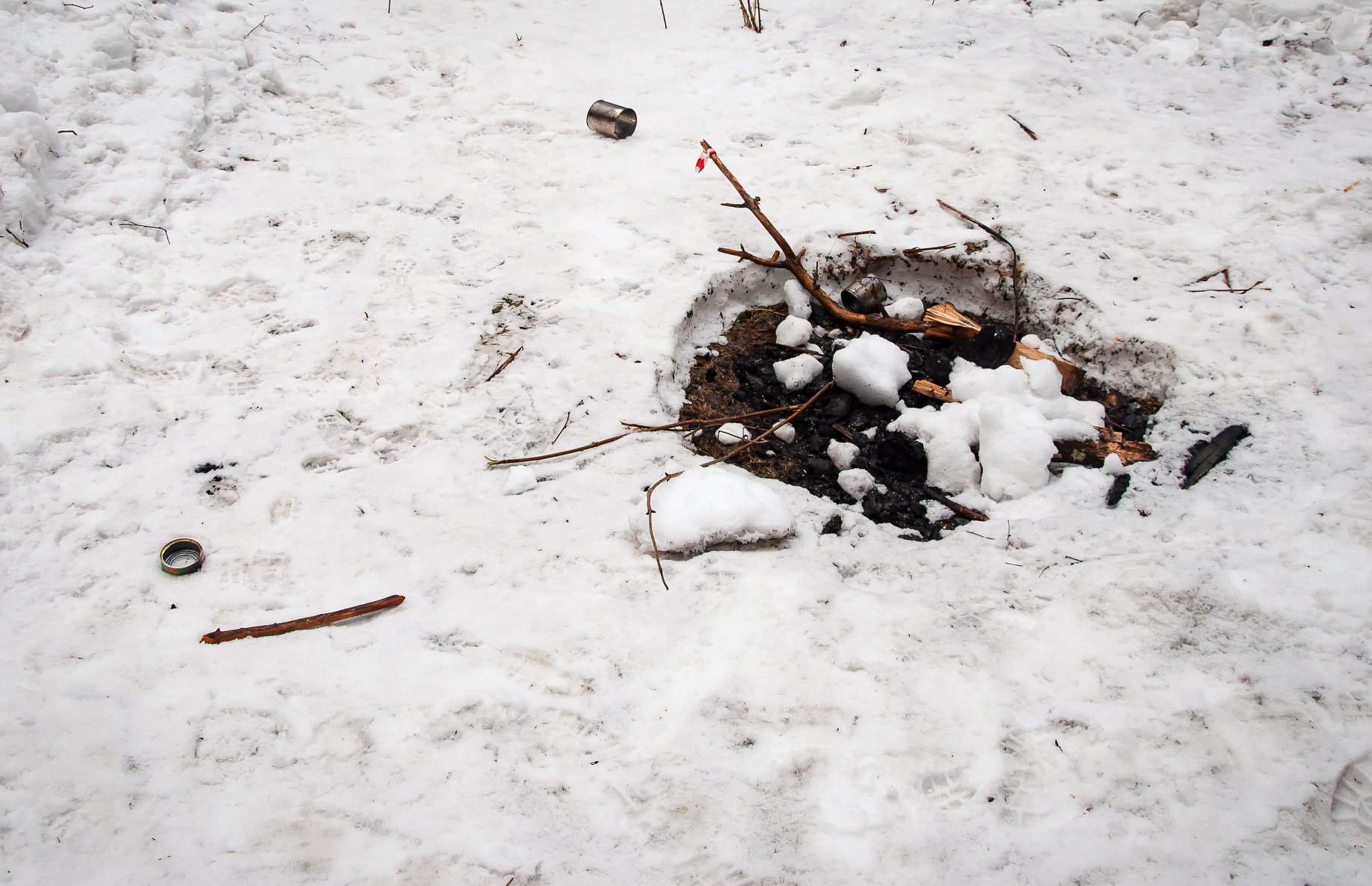 Ряженые единороссы превратили костромской лес в помойку банками из-под икры