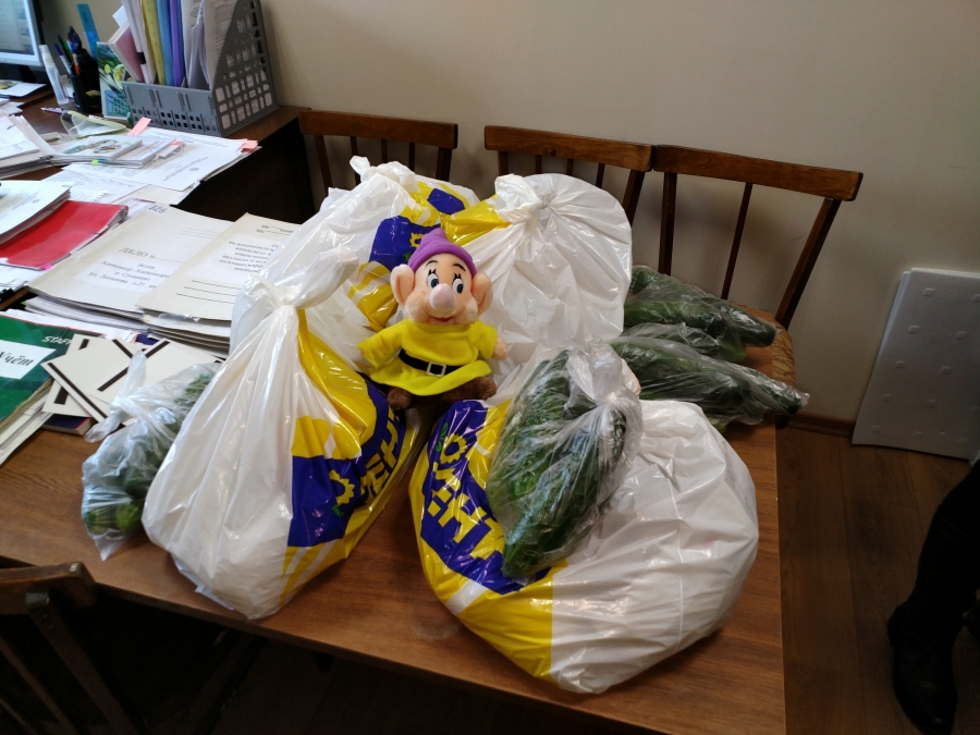 Голодающие многодетные семьи в Костроме умоляют о продуктовых наборах