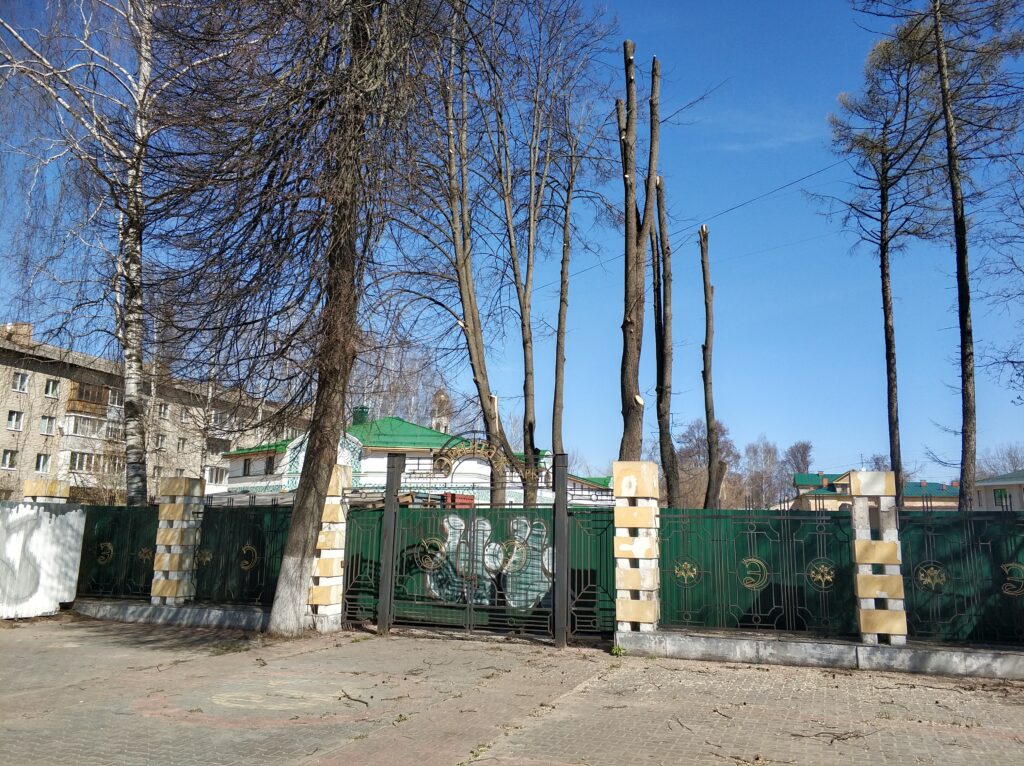 Чиновники отняли у костромичей городской парк