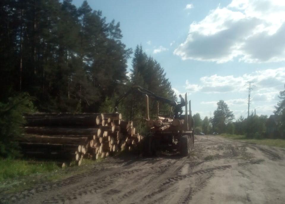 Костромичам урежут выделение льготной древесины