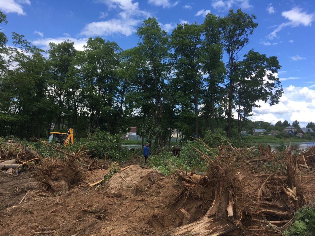 В Костроме назвали ущерб от вырубки рощи в «Венеции»