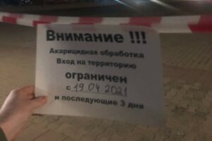 Объявление о клещах в Костроме