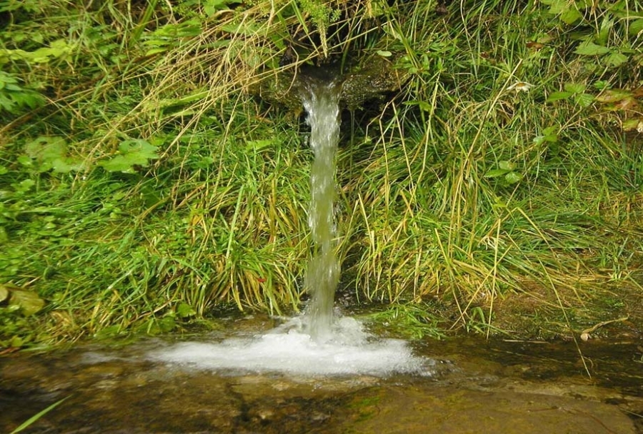 Жителей поселка Козелино лишили родника: скважину забетонировали