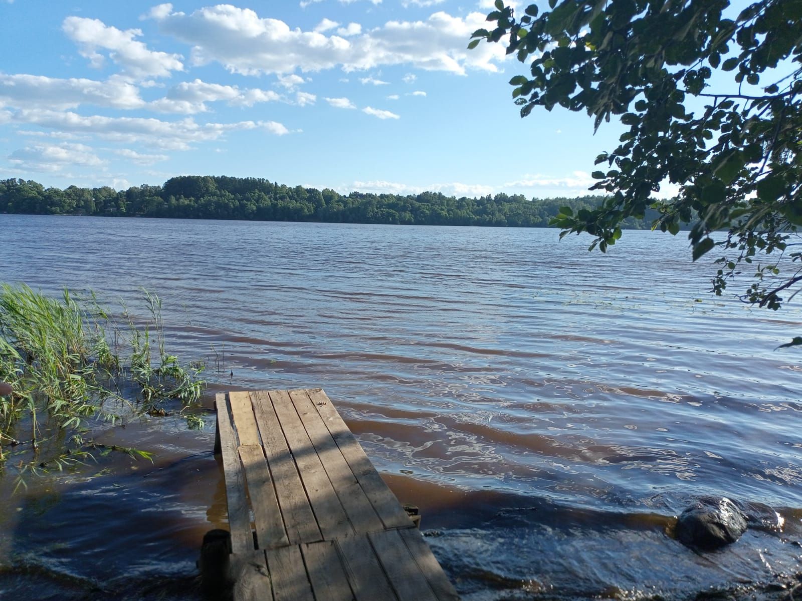 Под Костромой закрыли опасный для детей «лагерь робинзонов»